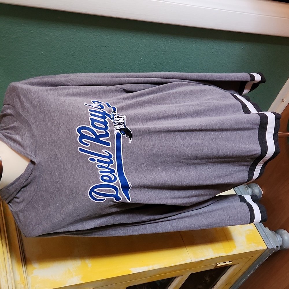 Tampa Bay DevilRays lightweight hoodie